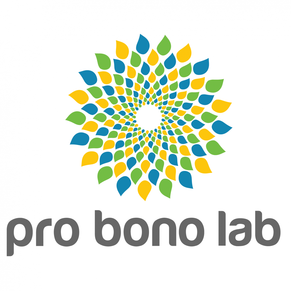 Pro Bono Lab